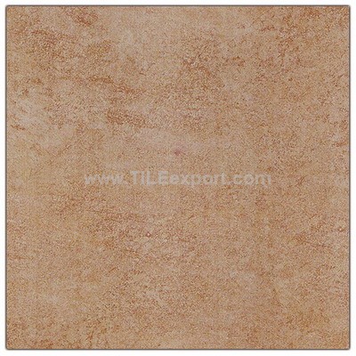 Floor_Tile--Porcelain_Tile,600X600mm[SS],66016